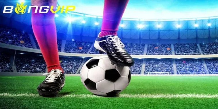 Đánh Giá Nhà Cái Bongvip Đỉnh Cao Mang Lại Cơ Hội Chiến Thắng Cực Kỳ Lớn