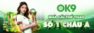Toàn Diện Đánh Giá Nhà Cái OK9 Địa Chỉ Cá Cược Thể Thao Minh Bạch Nhất
