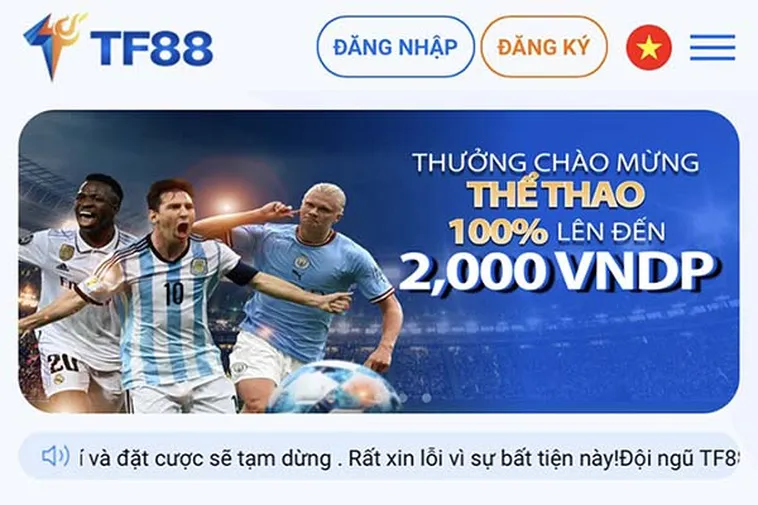 Đánh Giá Nhà Cái TF88 Đỉnh Cao Cá Cược Thể Thao Chuyên Nghiệp Uy Tín Nhất